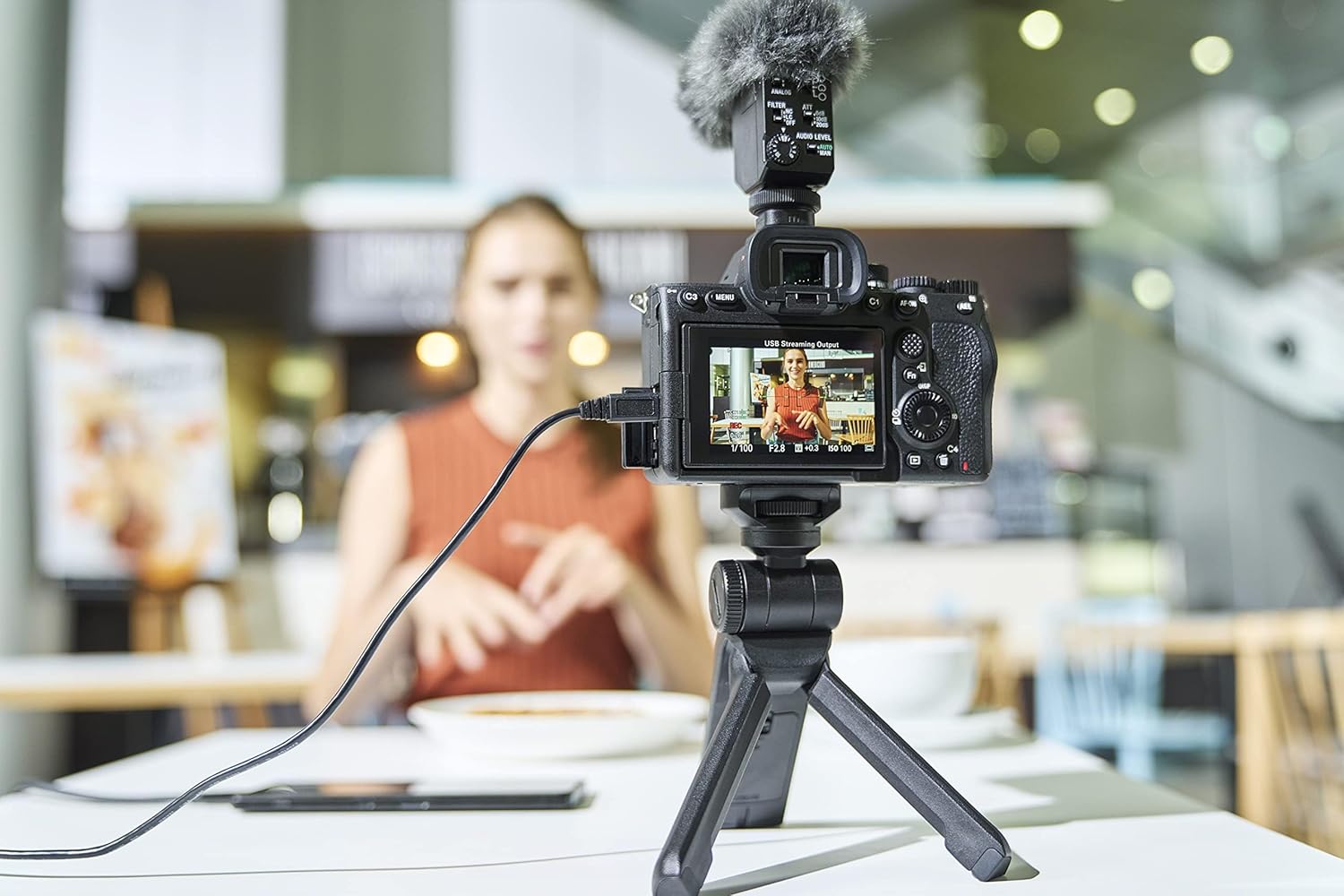 Sony Alpha 7 IV | Full-Frame Mirrorless Camera ( 33MP, Real-time autofocus, 10 fps, 4K60p image 4 Sony Alpha 7 IV | Full-Frame Mirrorless Camera ( 33MP, Real-time autofocus, 10 fps, 4K60p image 4